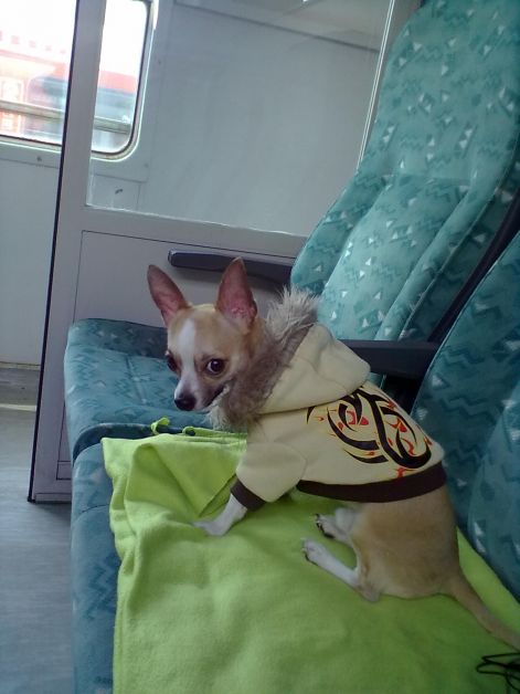 20110423205.jpg